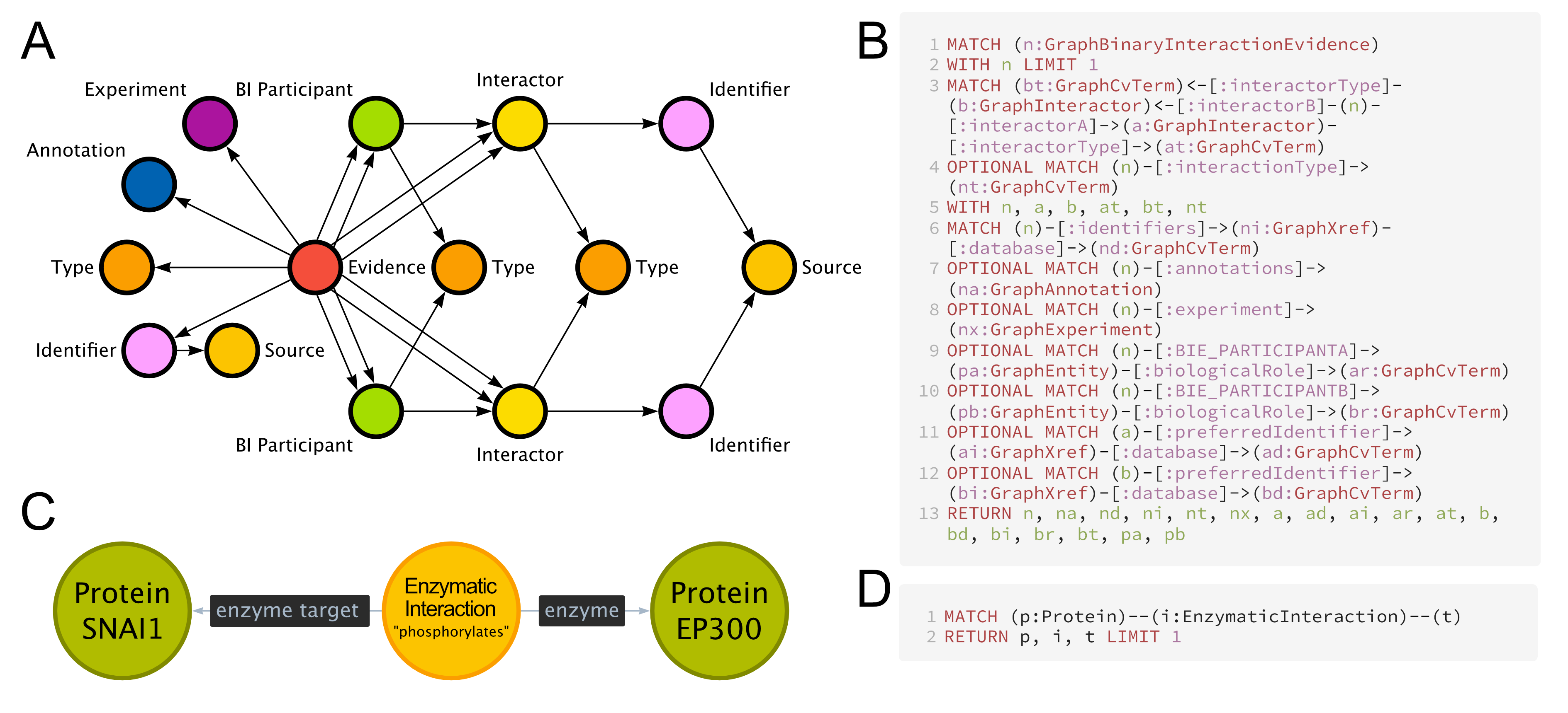 Figure 4: Semantic abstraction. A) The original, “storage-oriented” format used by the OTAR KG, displaying one interaction with additional data. B) The Cypher query to receive one interaction from the OTAR graph. C) The migrated, “task-oriented” format produced by the BioCypher adapter, displaying one interaction. The “additional data” from (A) about experiment and evidence type can be added to the interaction node as a property or encoded in additional nodes connected to the interaction node. D) The Cypher query to receive one interaction from the migrated graph.